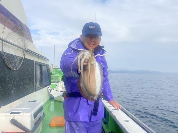 モンゴウ(カミナリイカ)