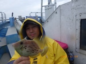 カワハギ