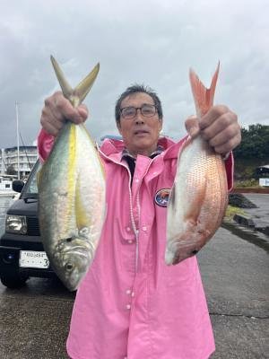 マダイ・シマアジ