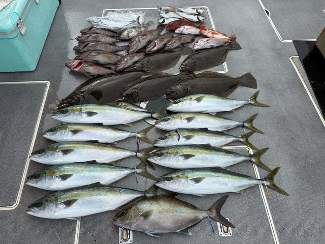 マダイ・マハタ・ハマチ(ブリ)・シオ(カンパチ)・ヒラメ