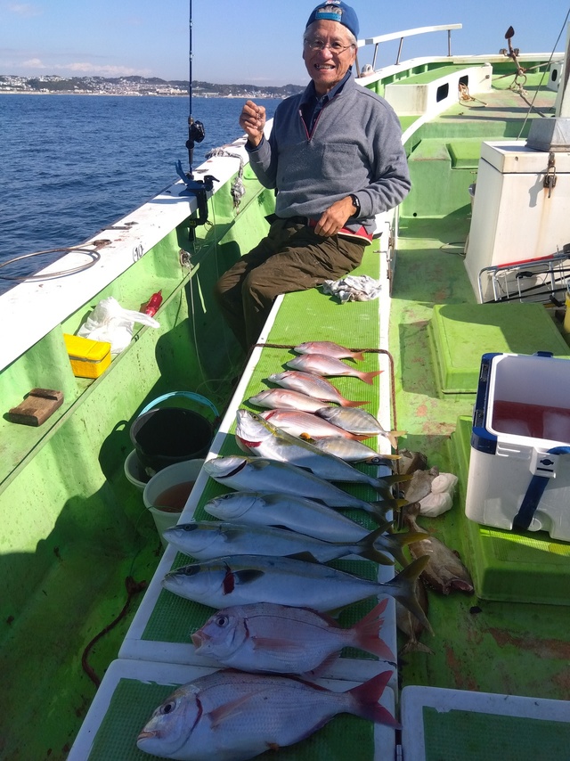 ハナダイ(チダイ)・イナダ(ブリ)