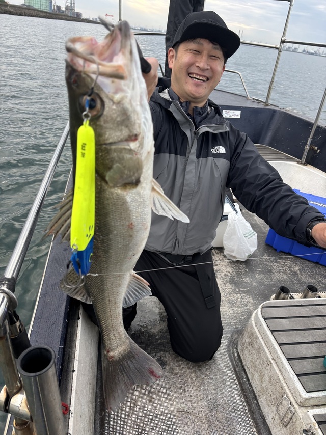 シーバス(スズキ)