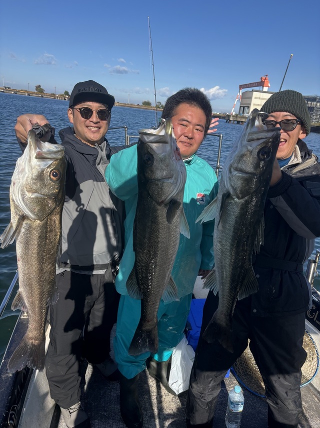 シーバス(スズキ)