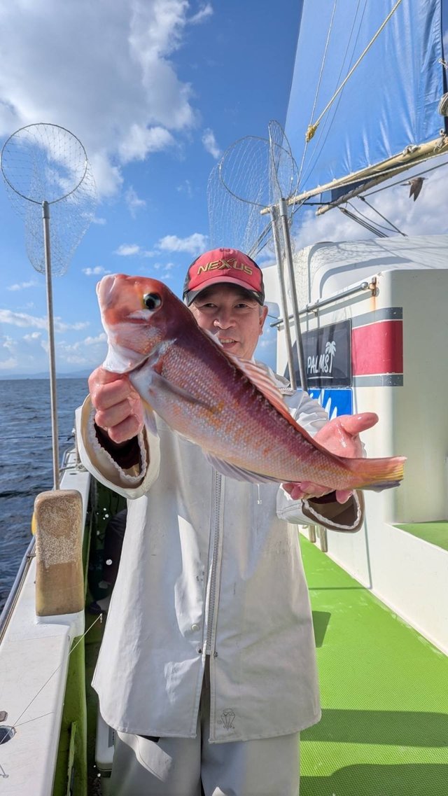 アマダイ(アカアマダイ)