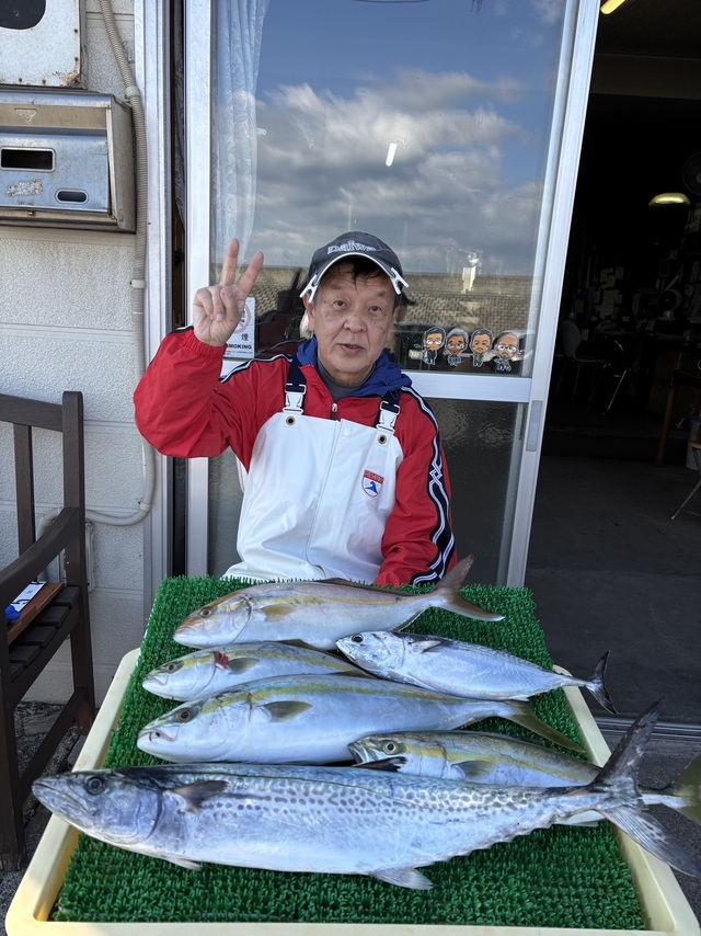 イナダ(ブリ)・カンパチ