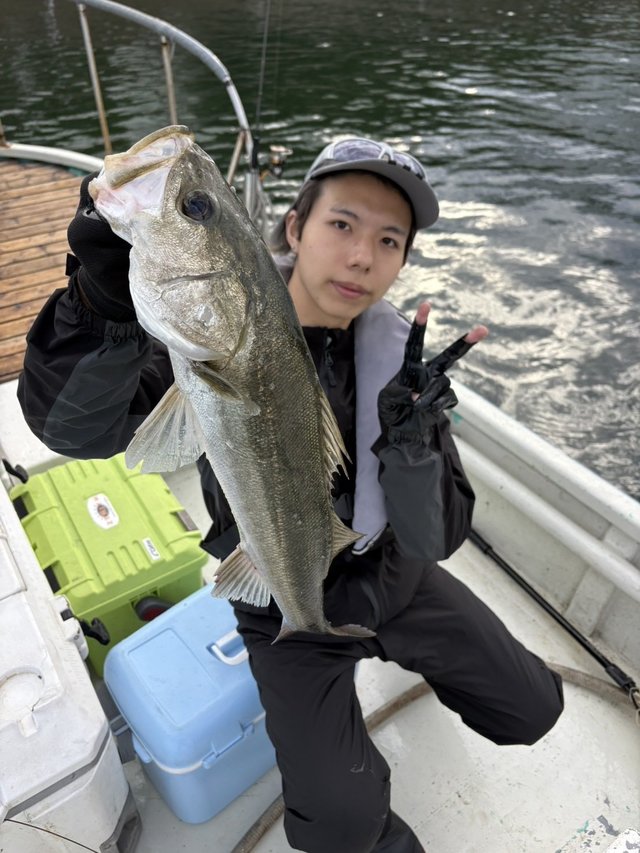 シーバス(スズキ)