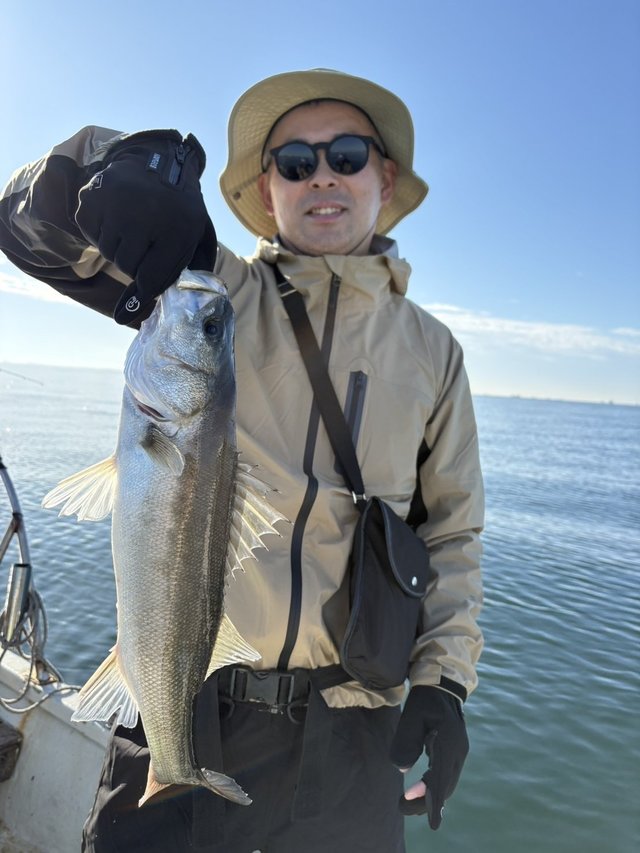 サゴシ(サワラ)