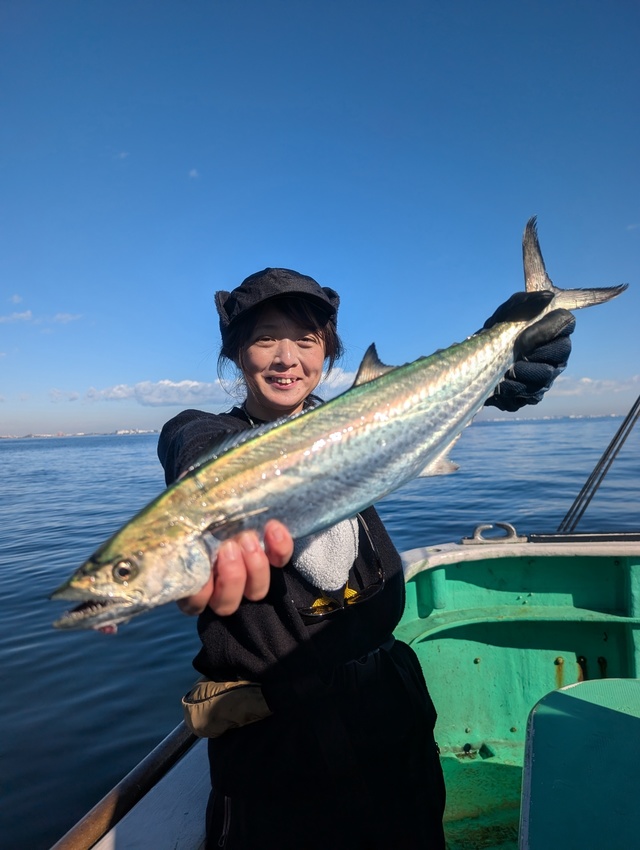 サゴシ(サワラ)