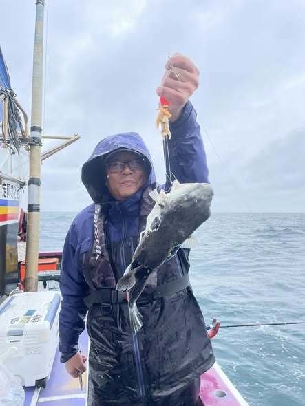 ショウサイフグ