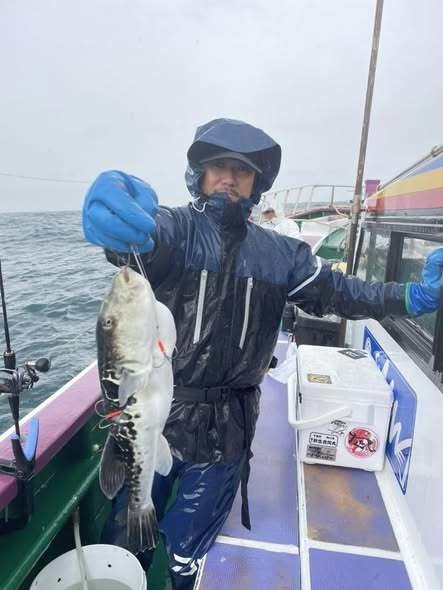 ショウサイフグ