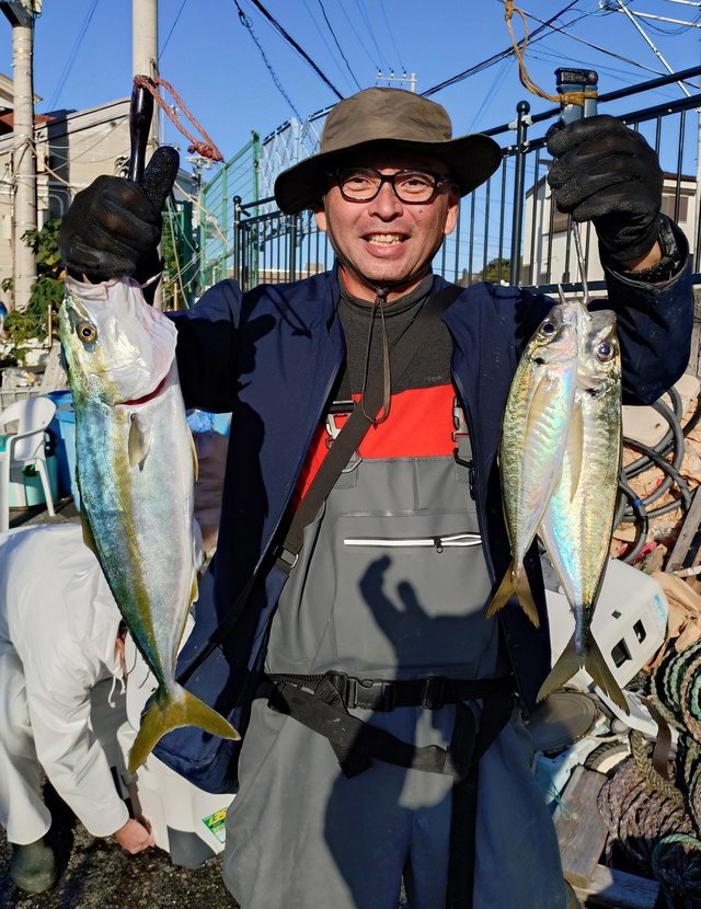 アジ(マアジ)・カンパチ