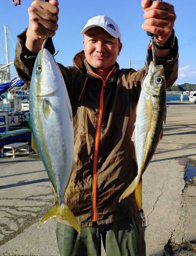 アジ(マアジ)・イナダ(ブリ)