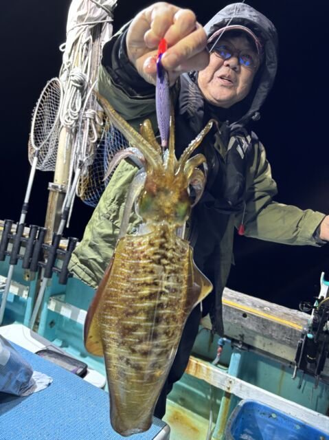 アオリ(アオリイカ)