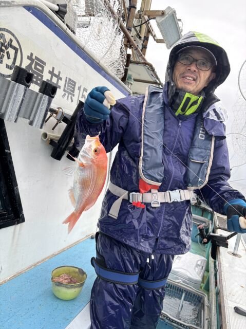 レンコダイ(キダイ)