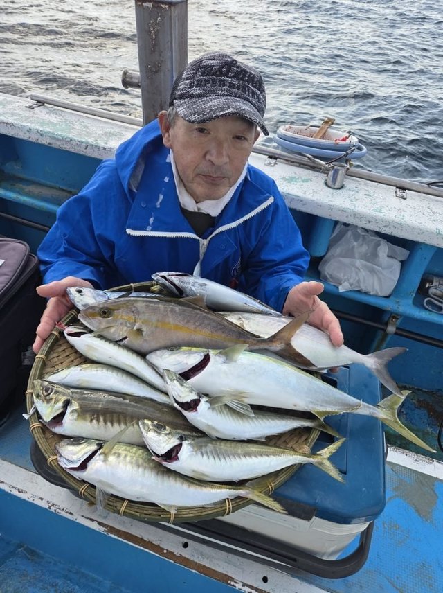 アジ(マアジ)・イナダ(ブリ)・カンパチ・サバ(マサバ)・ヒラソウダ