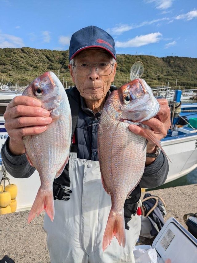 ハナダイ(チダイ)