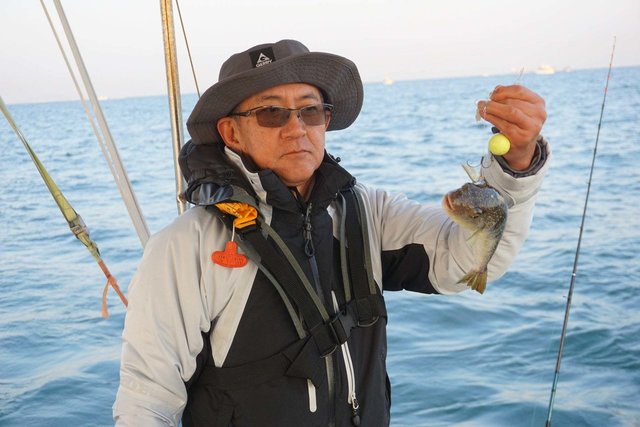 ショウサイフグ