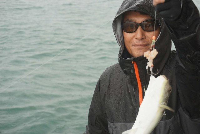 ショウサイフグ