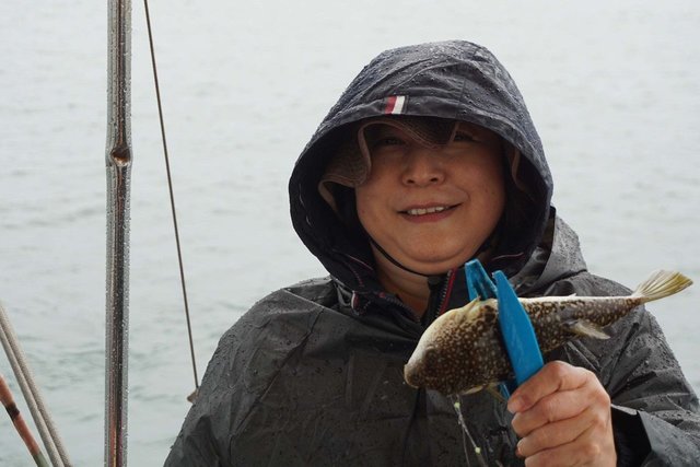 ショウサイフグ