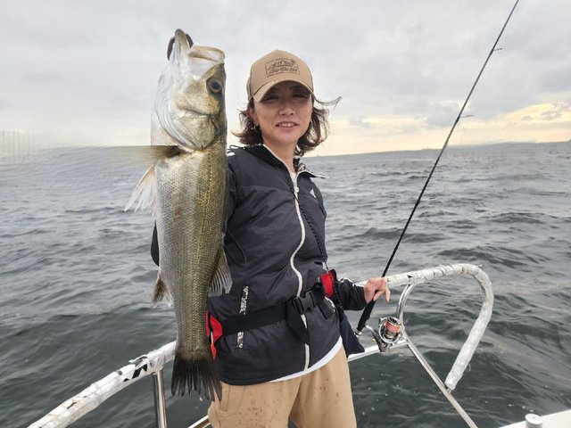 シーバス(スズキ)