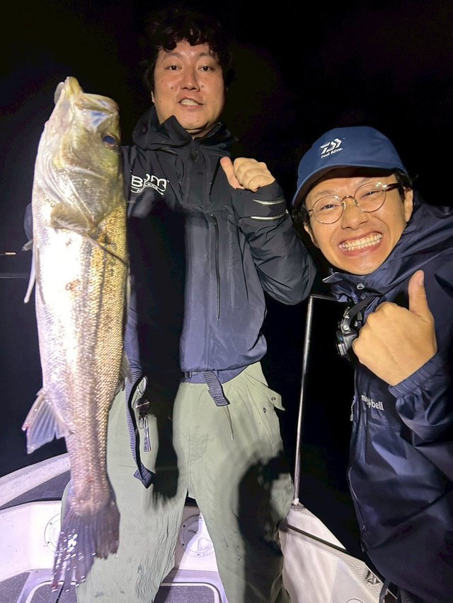 シーバス(スズキ)