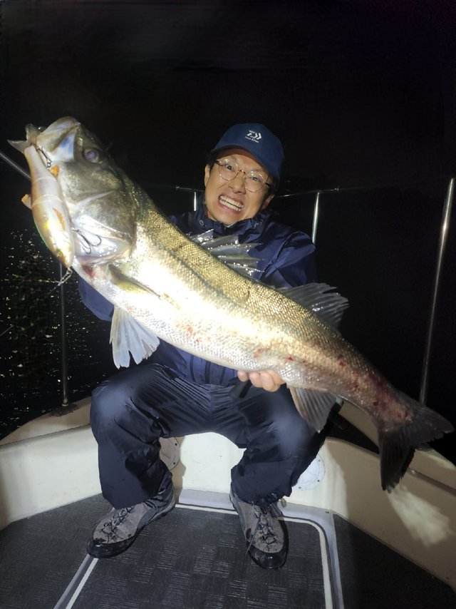 シーバス(スズキ)