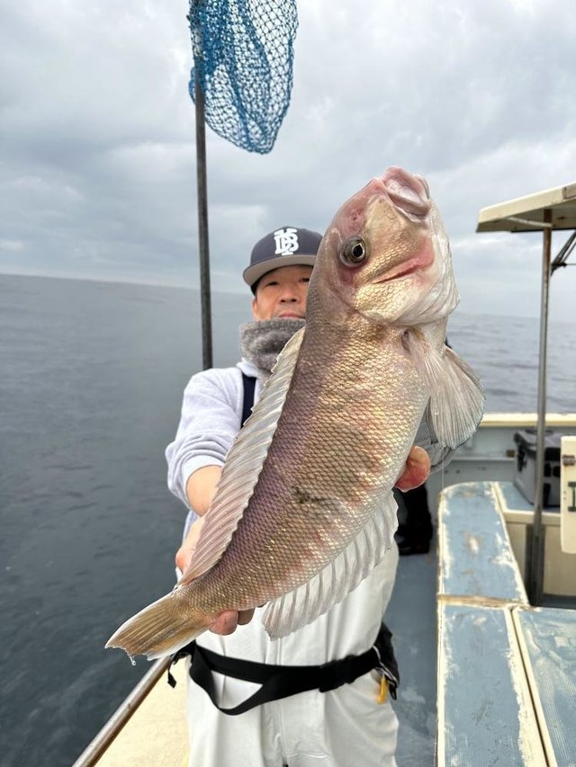 アマダイ(アカアマダイ)