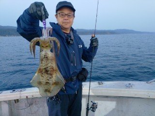 アオリ(アオリイカ)