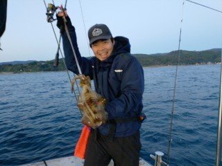 アオリ(アオリイカ)