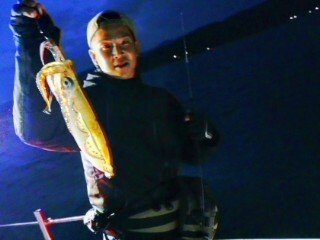 アオリ(アオリイカ)