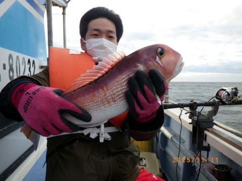 アマダイ(アカアマダイ)