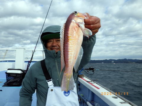 アマダイ(アカアマダイ)