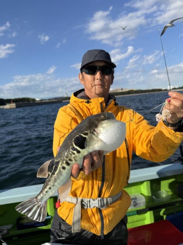 フグ(トラフグ)