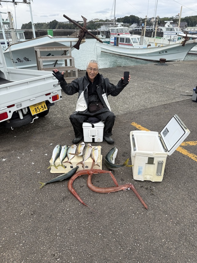 メジロ(ブリ)・カンパチ