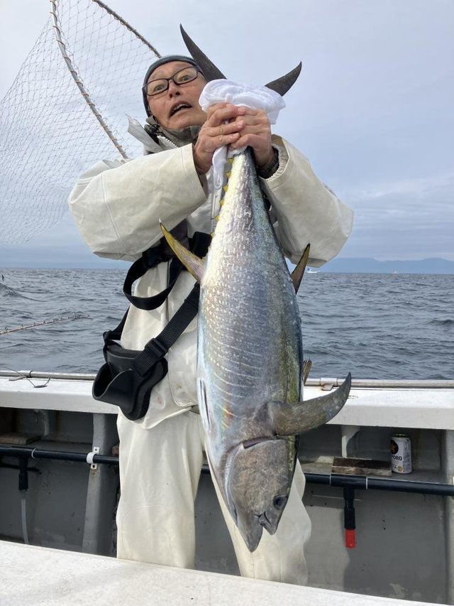 キハダマグロ(キハダ)