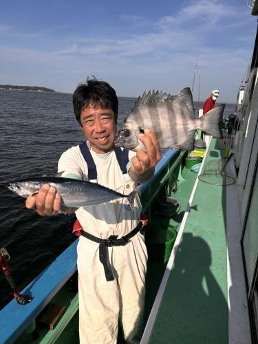 イシダイ・アジ(マアジ)