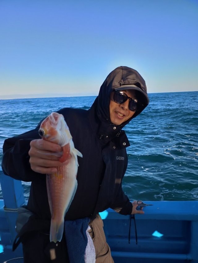 アマダイ(アカアマダイ)