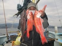 クロムツ・アカムツ