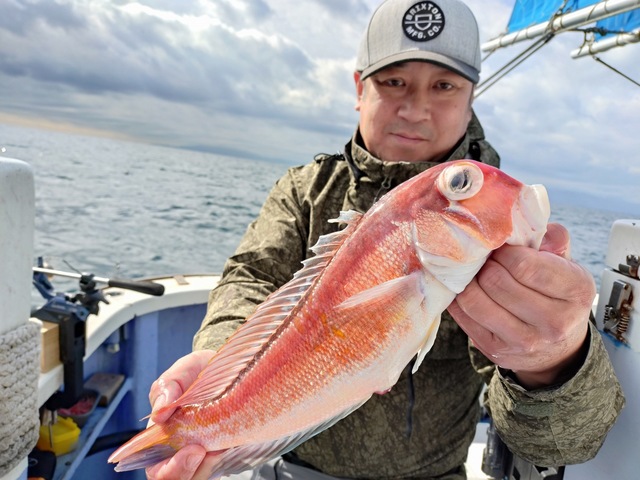 アマダイ(アカアマダイ)