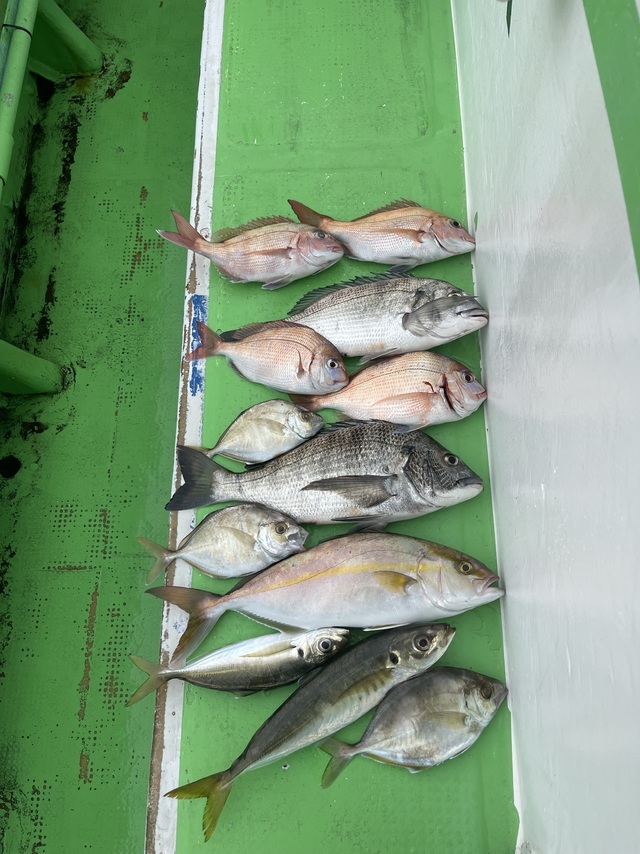 マダイ・ハナダイ(チダイ)・クロダイ・アジ(マアジ)・カイワリ・ショゴ(カンパチ)