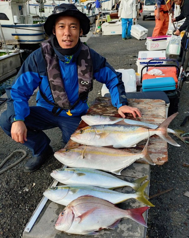 マダイ・イナダ(ブリ)・カンパチ
