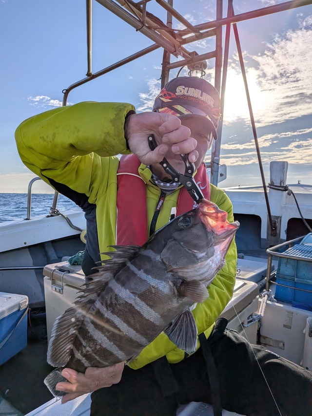 タカバ(マハタ)