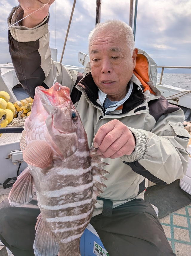 タカバ(マハタ)