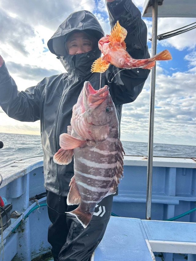 マハタ・カサゴ