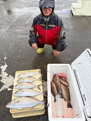 オオモンハタ・カンパチ