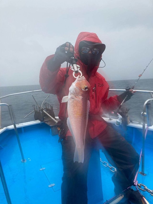 アマダイ(アカアマダイ)