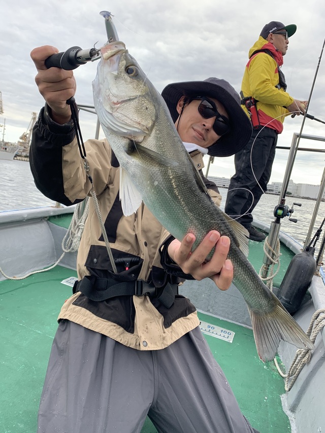 シーバス(スズキ)