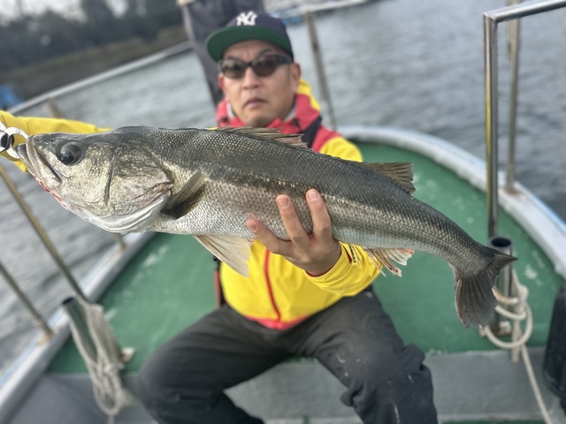 シーバス(スズキ)