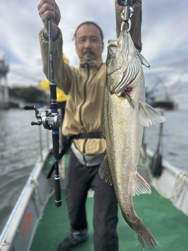 シーバス(スズキ)