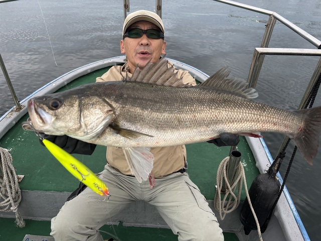 シーバス(スズキ)